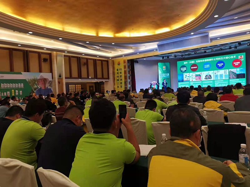 南方略咨询助力康朴(中国)经销商伙伴大会 南方略咨询助力康朴(中国)经销商伙伴大会
